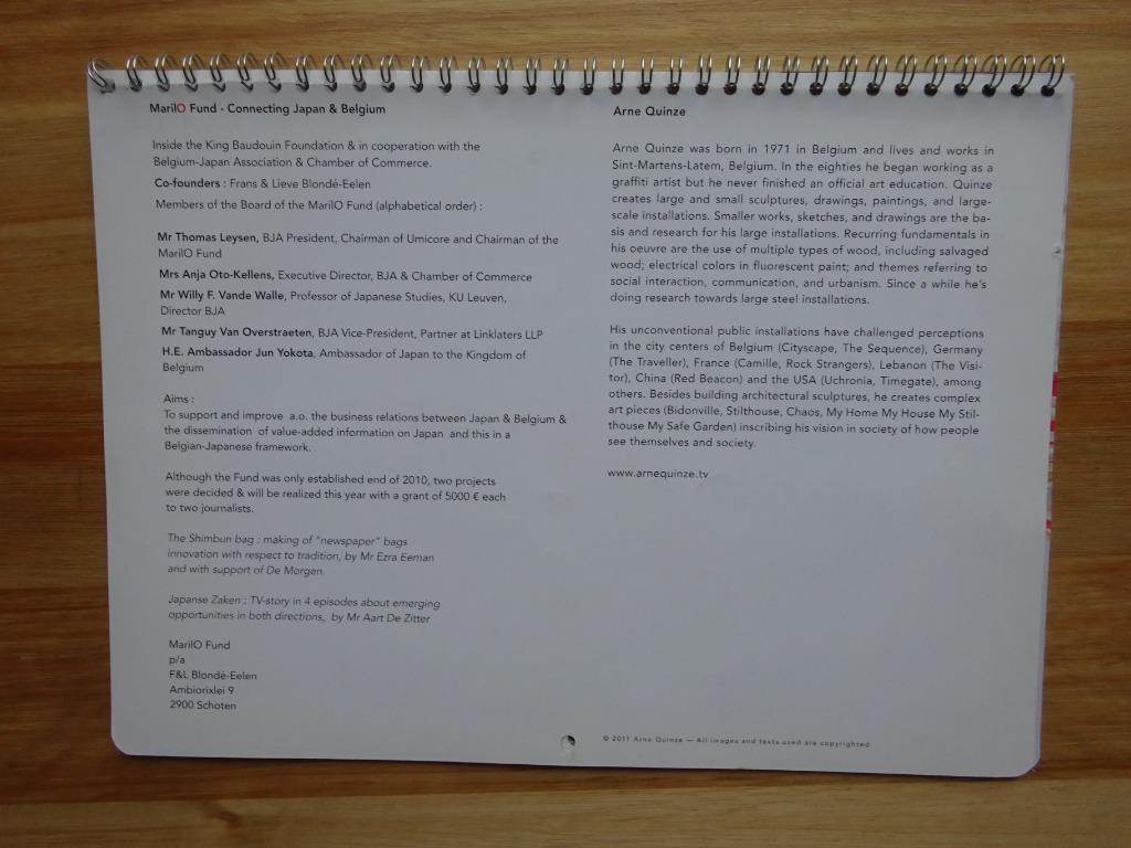 Kalender 2012 - Arne Quinze- 9 prenten, Ophalen of Verzenden, Zo goed als nieuw