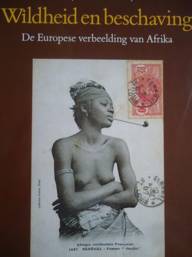 WILDHEID EN BESCHAVING  -  Raymond Corbey, Enlèvement ou Envoi, Comme neuf, Raymond Corbey, Afrique