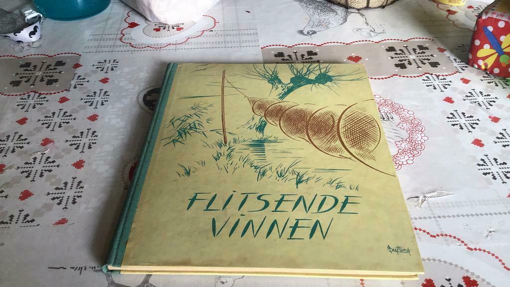 Flitsende vinnen(#), Ophalen of Verzenden, Gelezen, Prentenboek