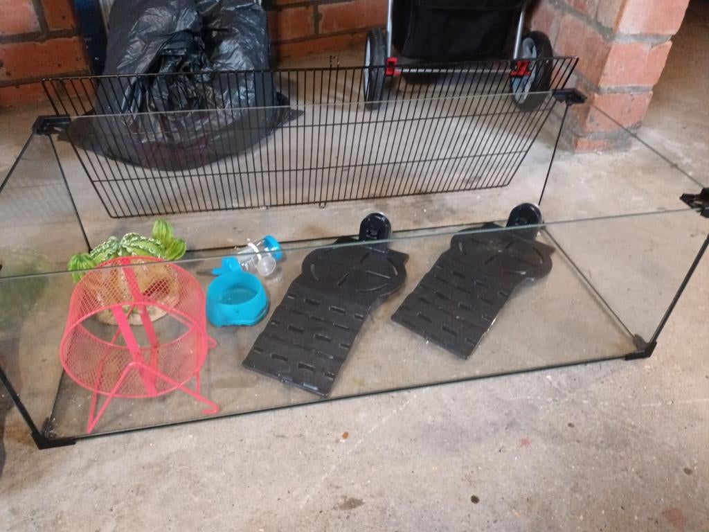 Terrarium, Dieren en Toebehoren, Ophalen