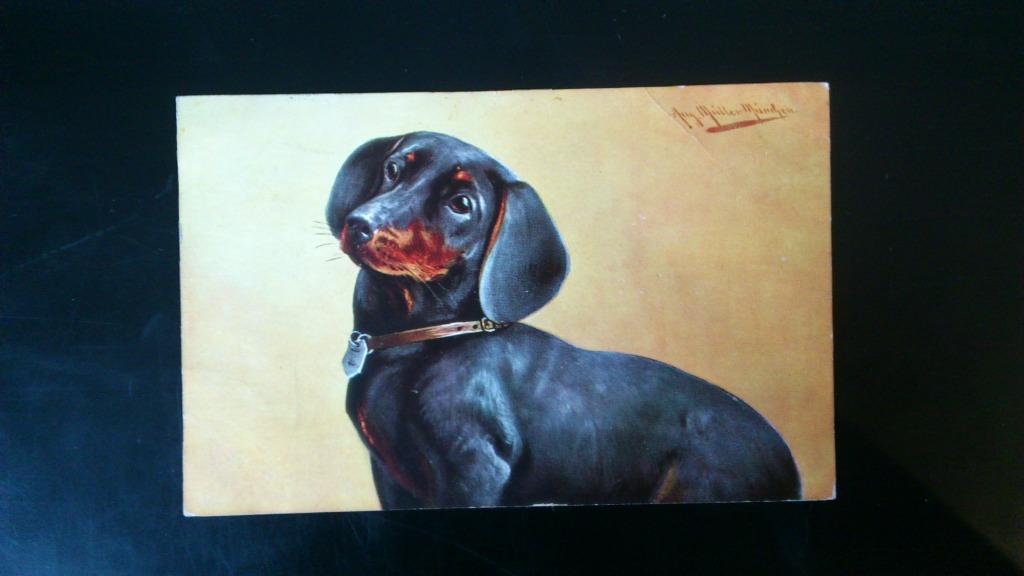 Carte Postale illustrateur, Envoi, Avant 1920, Affranchie, Chien ou Chat