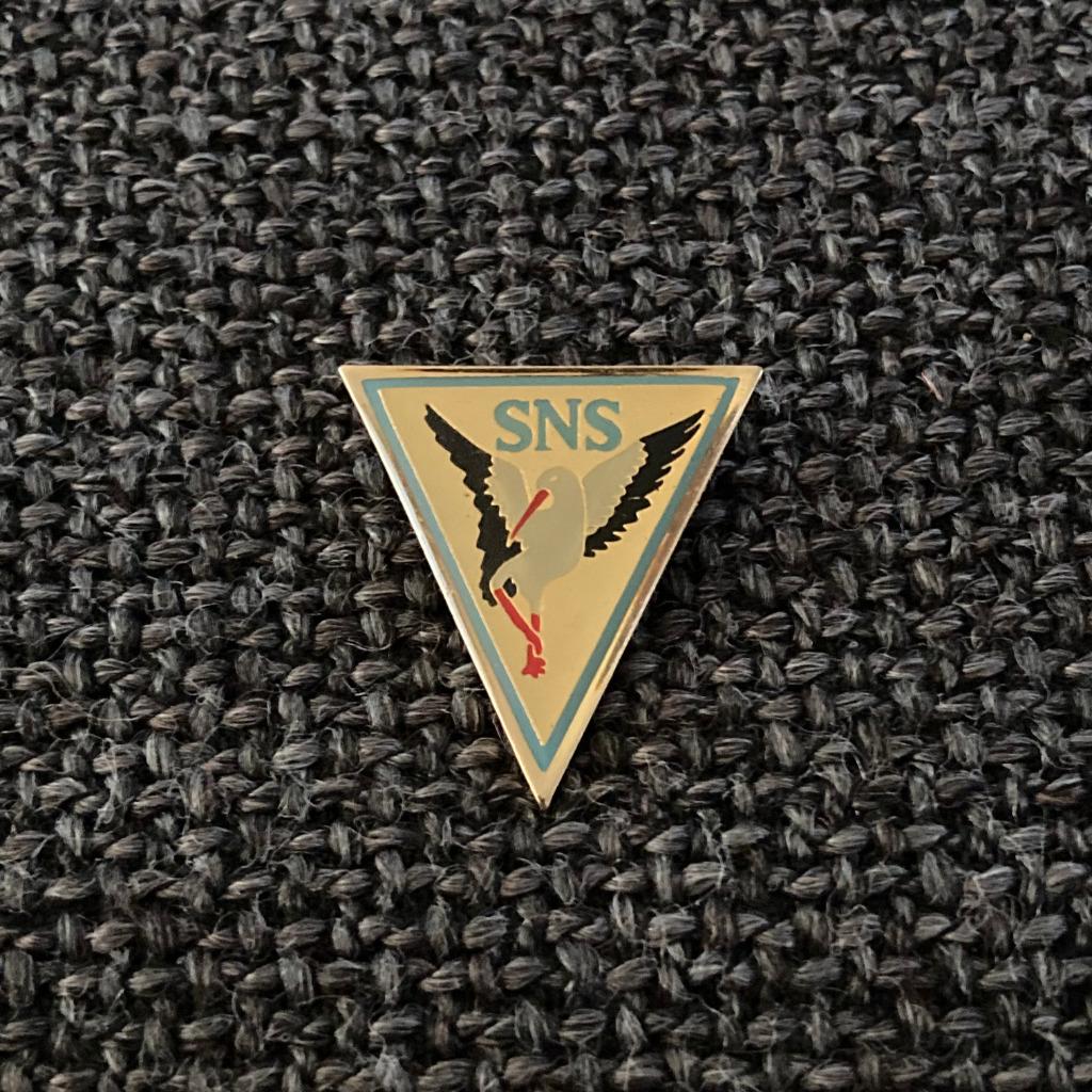PIN - SNS - OOIEVAAR - CIGOGNE, Envoi, Utilisé, Autres sujets/thèmes, Insigne ou Pin's
