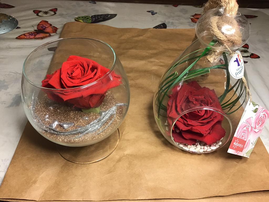 Rose véritable traitée,, Enlèvement ou Envoi, Neuf