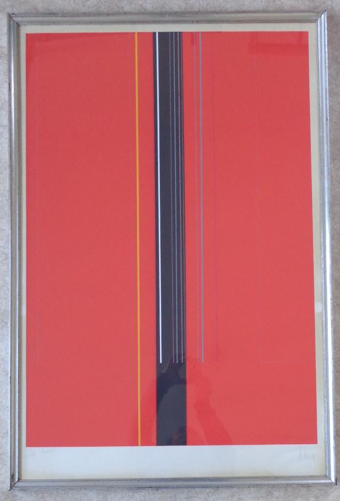 LUC PEIRE / ROSTEL / KLEURZEEFDRUK / 114x77cm / KADER / SIG, Ophalen