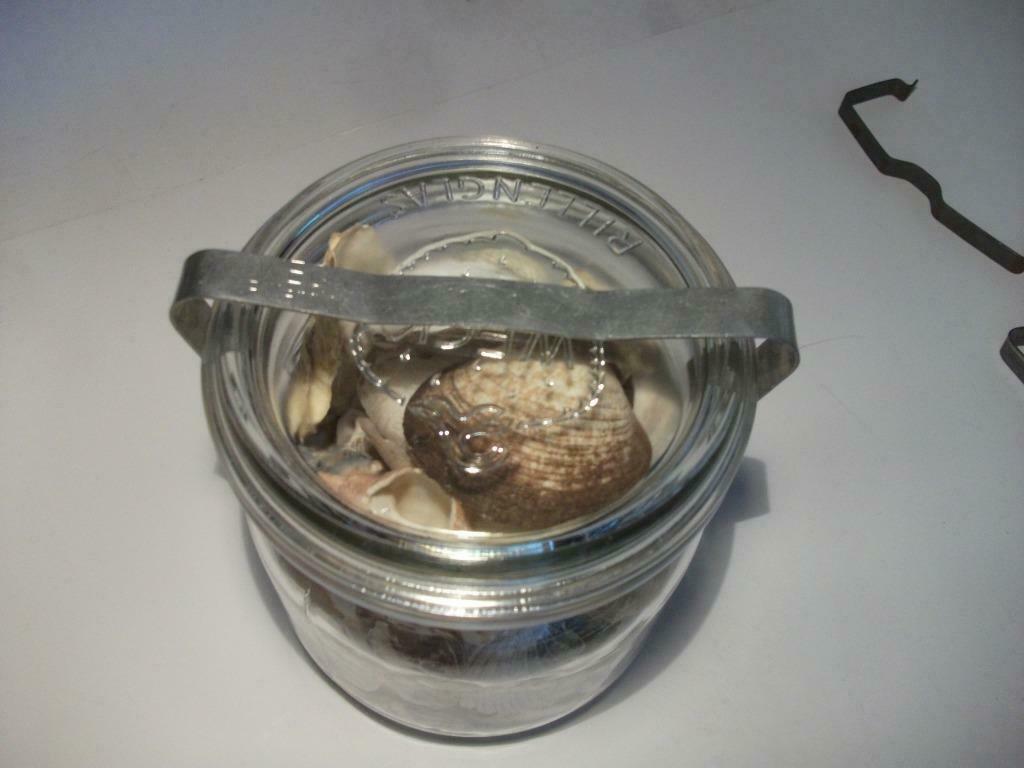 Vintage metalen sluiting, klem, beugel, ring voor Weck, Ophalen of Verzenden, Gebruikt