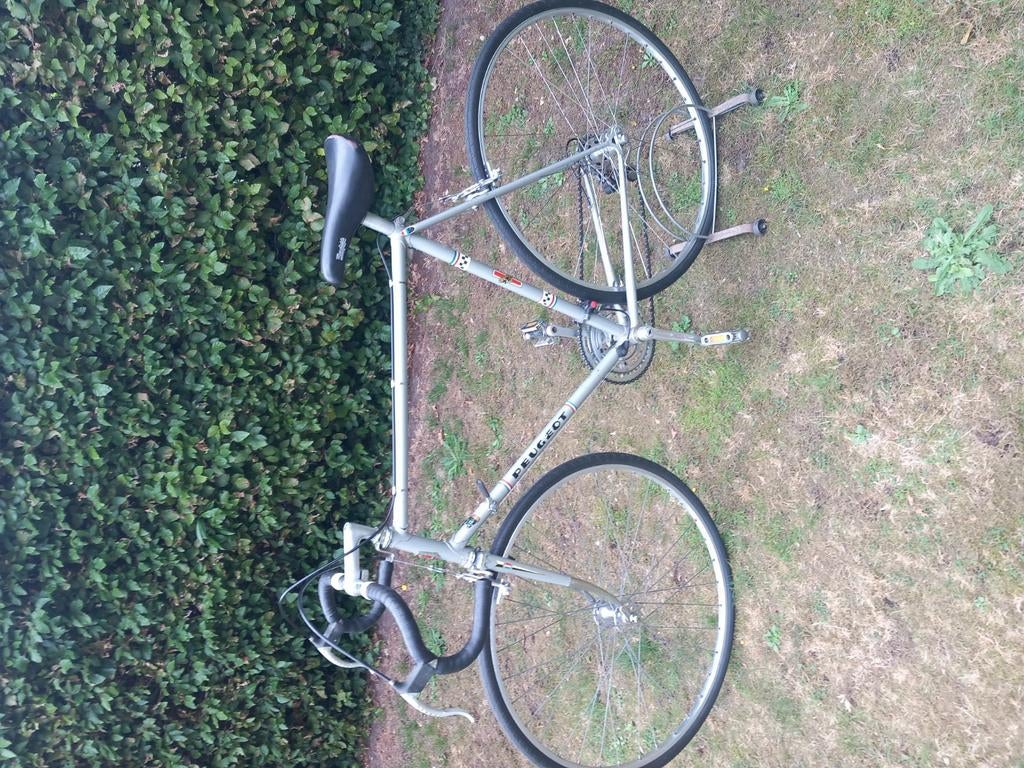 Peugeot retro koersfiets, Enlèvement