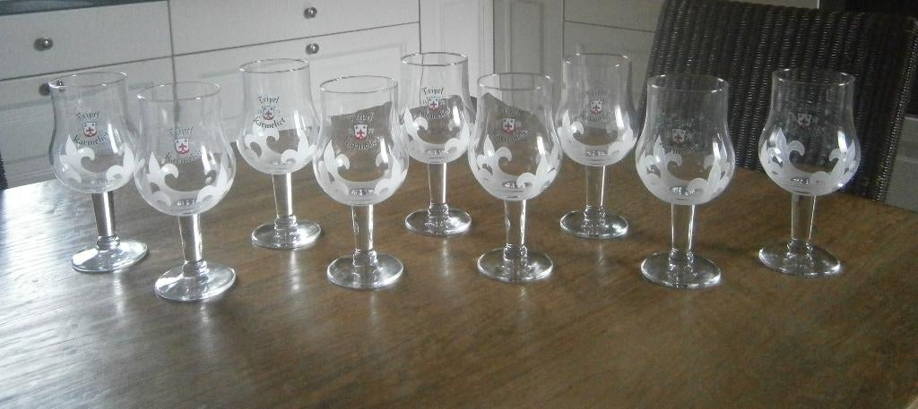 9 Tripel Karmeliet glazen  20 cl, Enlèvement ou Envoi, Neuf, Verre ou Verres