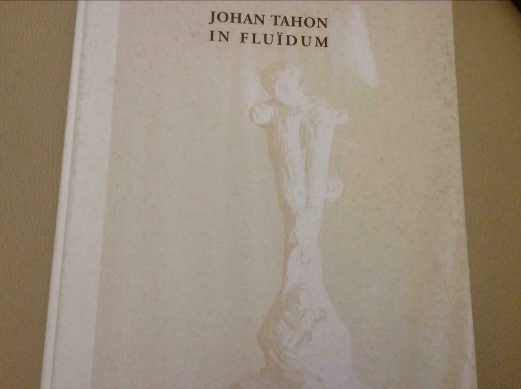 JOHAN TAHON    IN  FLUÏDUM, Ophalen of Verzenden, Zo goed als nieuw
