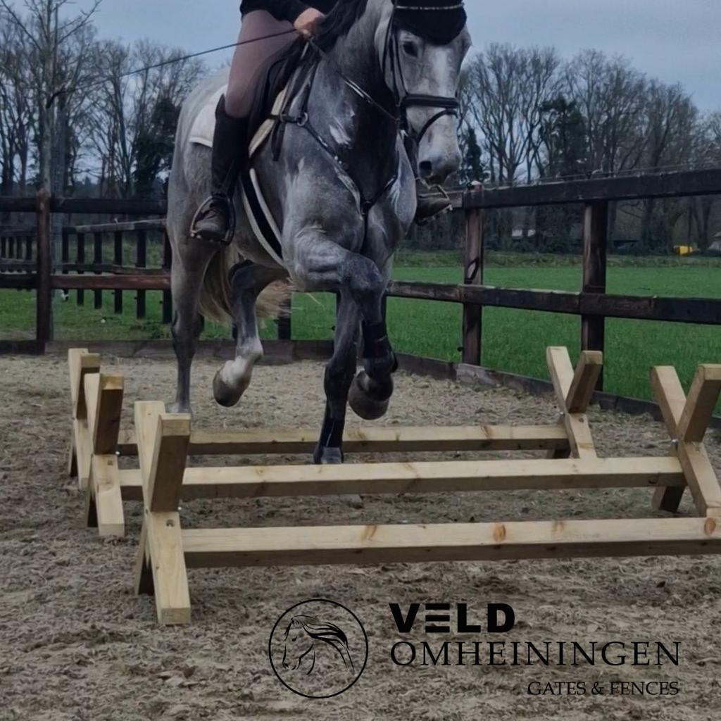 Springbalk, Cavaletti, Training paard, Hindernis, Grondwerk, Weidegang, 4 paarden of pony's of meer