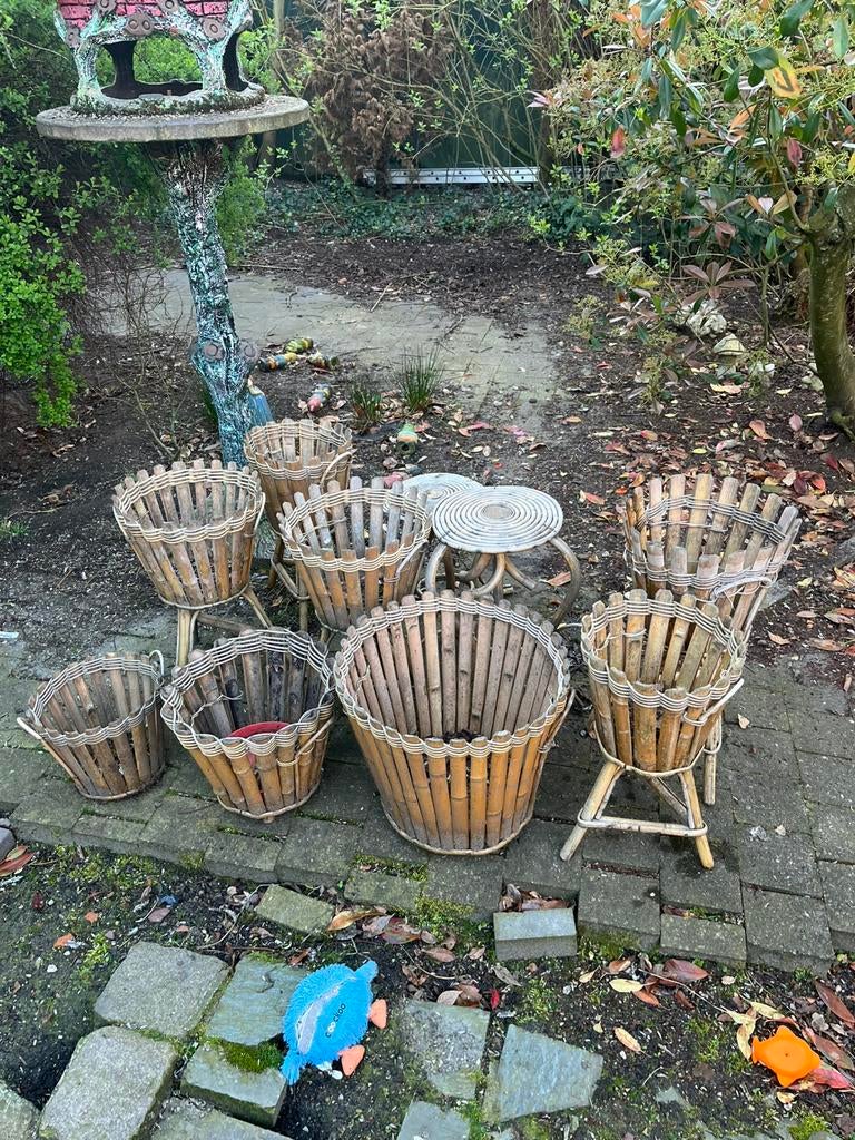 Vintage bamboo, Tuin en Terras, Ophalen, Gebruikt