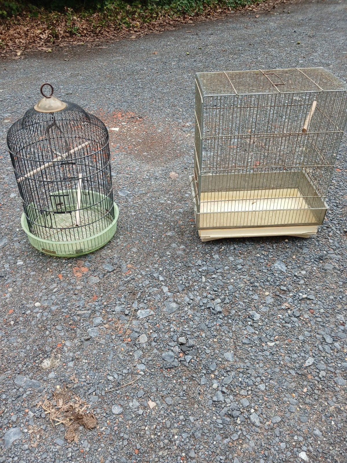cages à oiseaux, Enlèvement