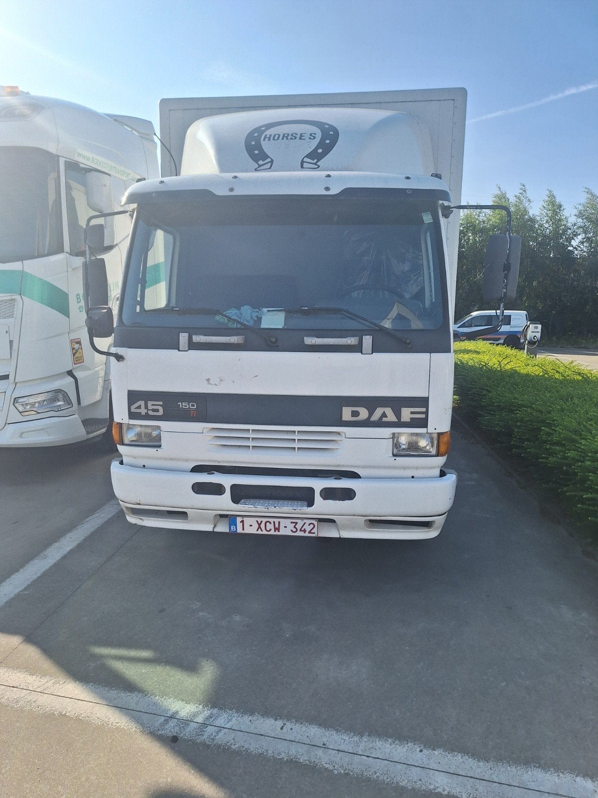 paardenvrachtwagen, Autos, Particulier, Achat, DAF
