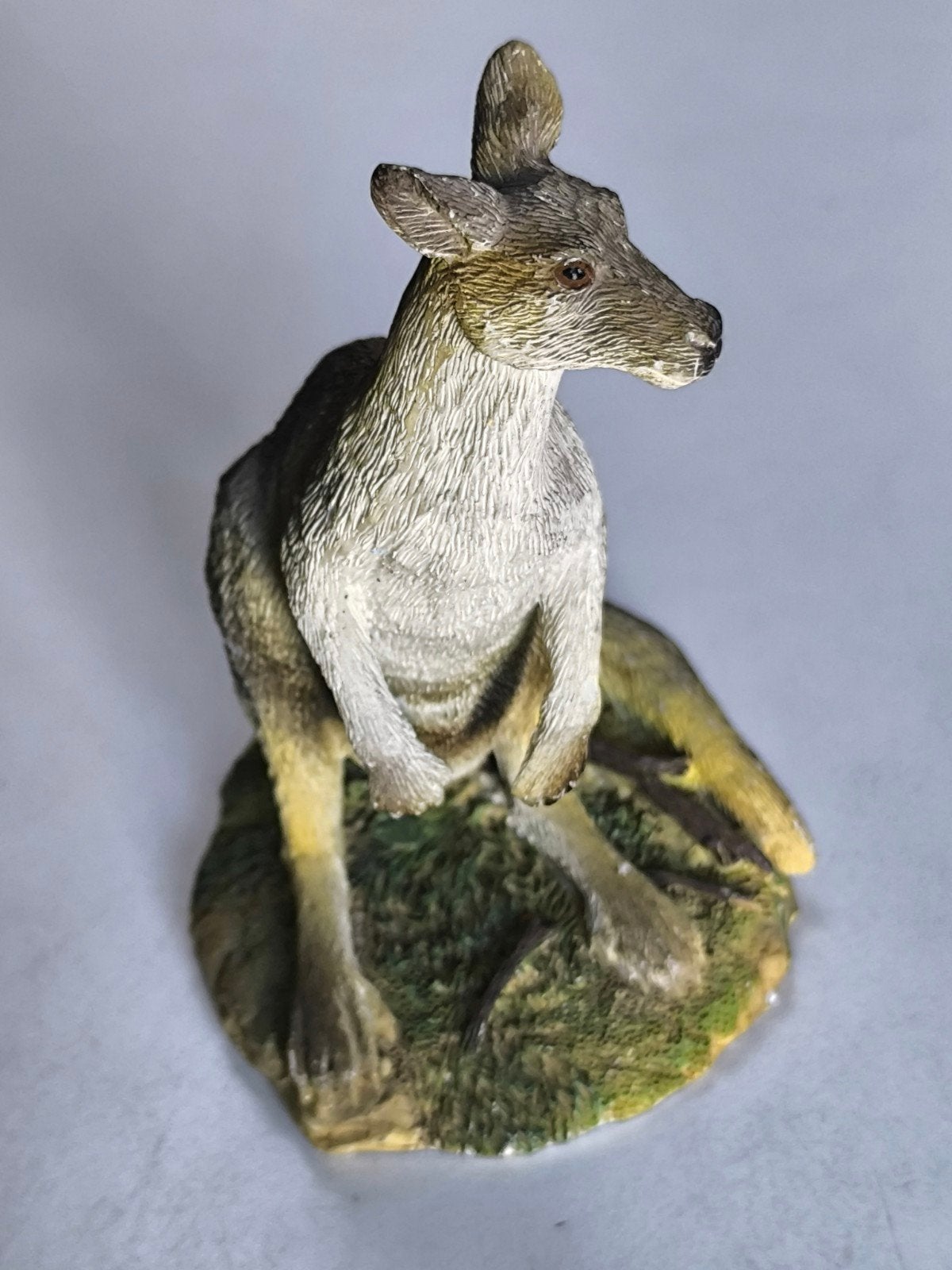 Australische grijze kangeroo, Ophalen of Verzenden