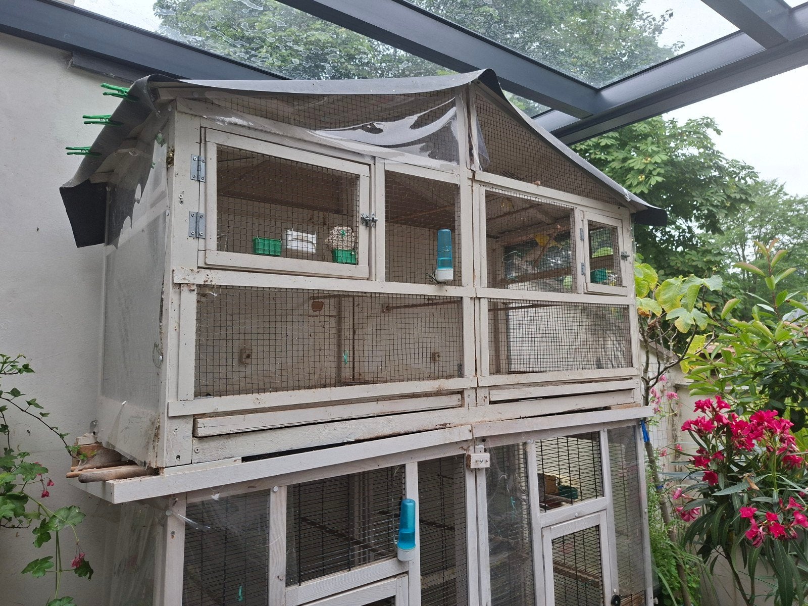 Cages à oiseaux, Enlèvement ou Envoi