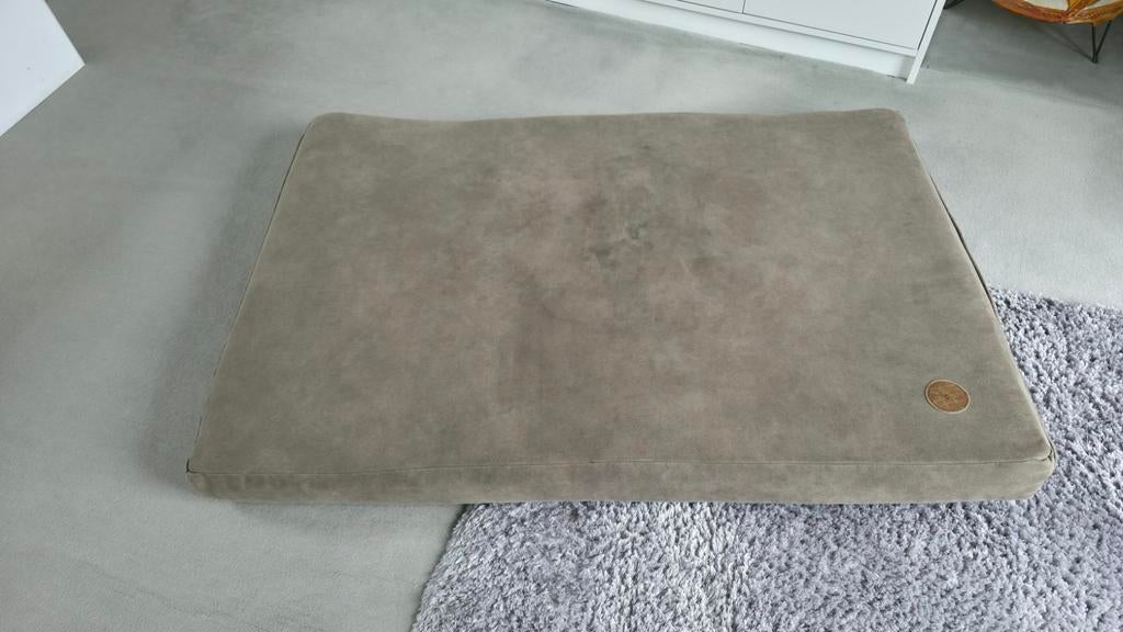Coussin orthopédique chien, Enlèvement