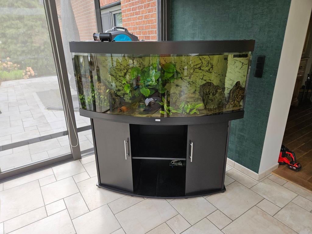 Aquarium 450L, Dieren en Toebehoren, Vissen | Aquaria en Toebehoren, Ophalen, Juwel, Inclusief vissen, Gevuld zoetwateraquarium