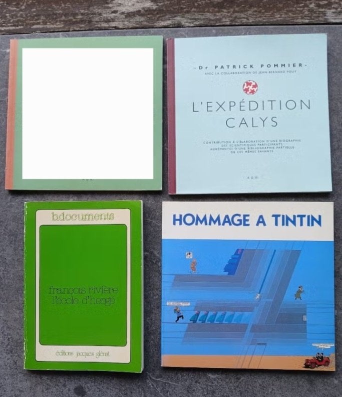 3 Livres sur Hergé (offre par livre), Enlèvement, Hergé.
