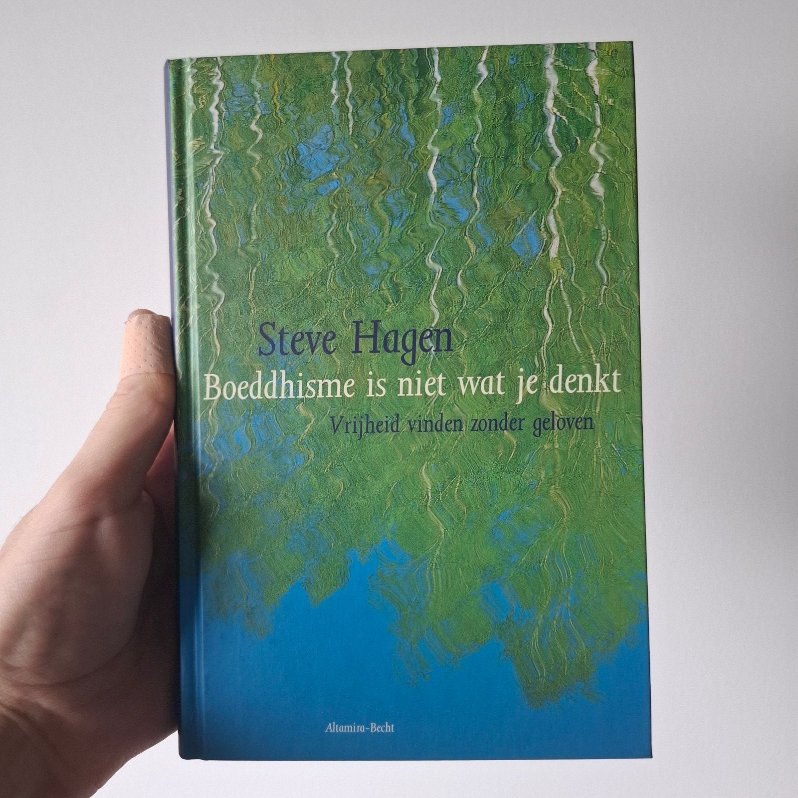 Boeddhisme is niet wat je denkt - Steve Hagen, Ophalen of Verzenden