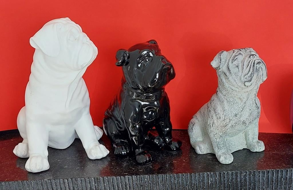 3 bulldog bulldog-houdingen, Ophalen of Verzenden, Zo goed als nieuw, Dier