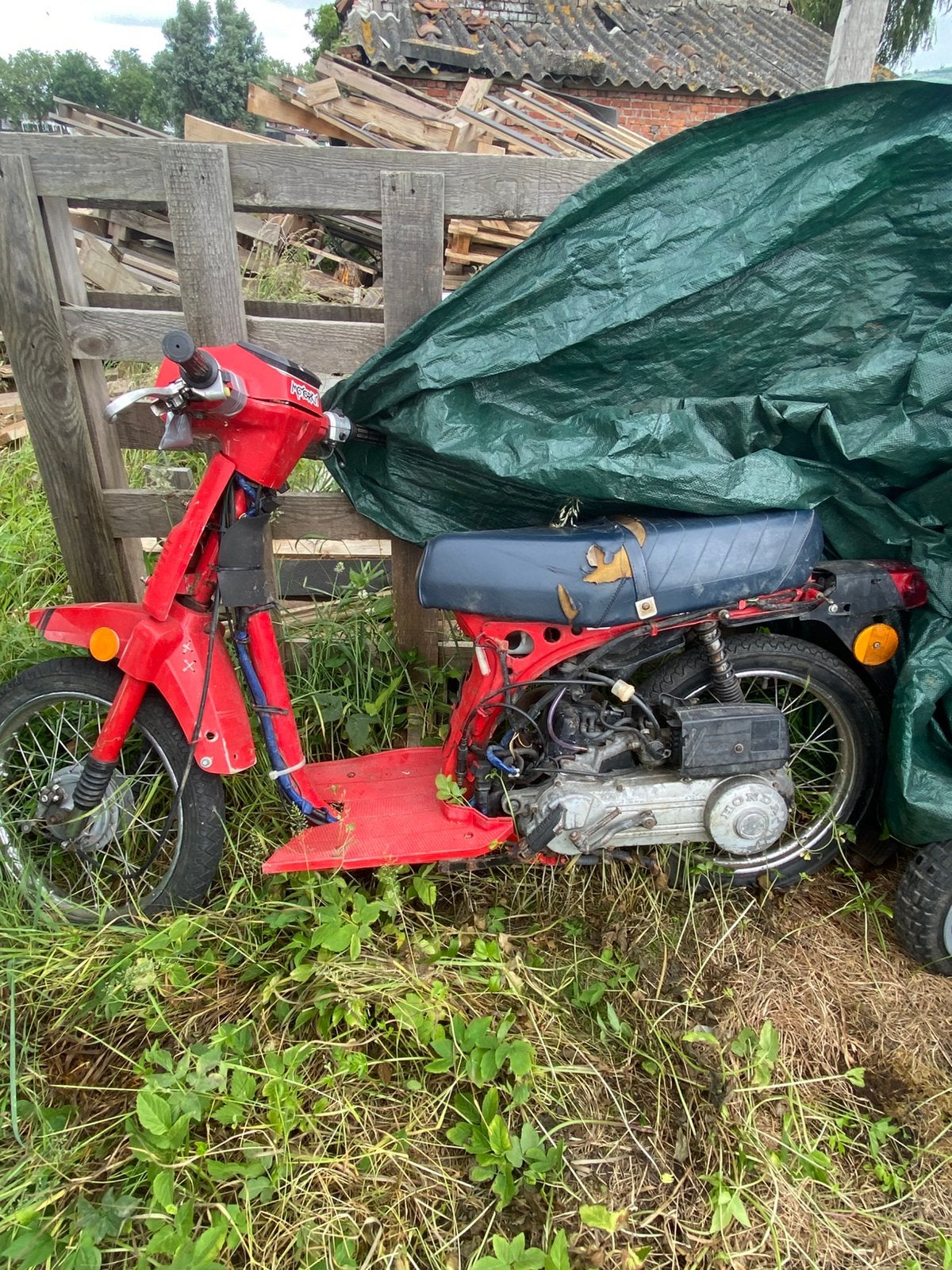 Honda skoopy, Enlèvement, Comme neuf