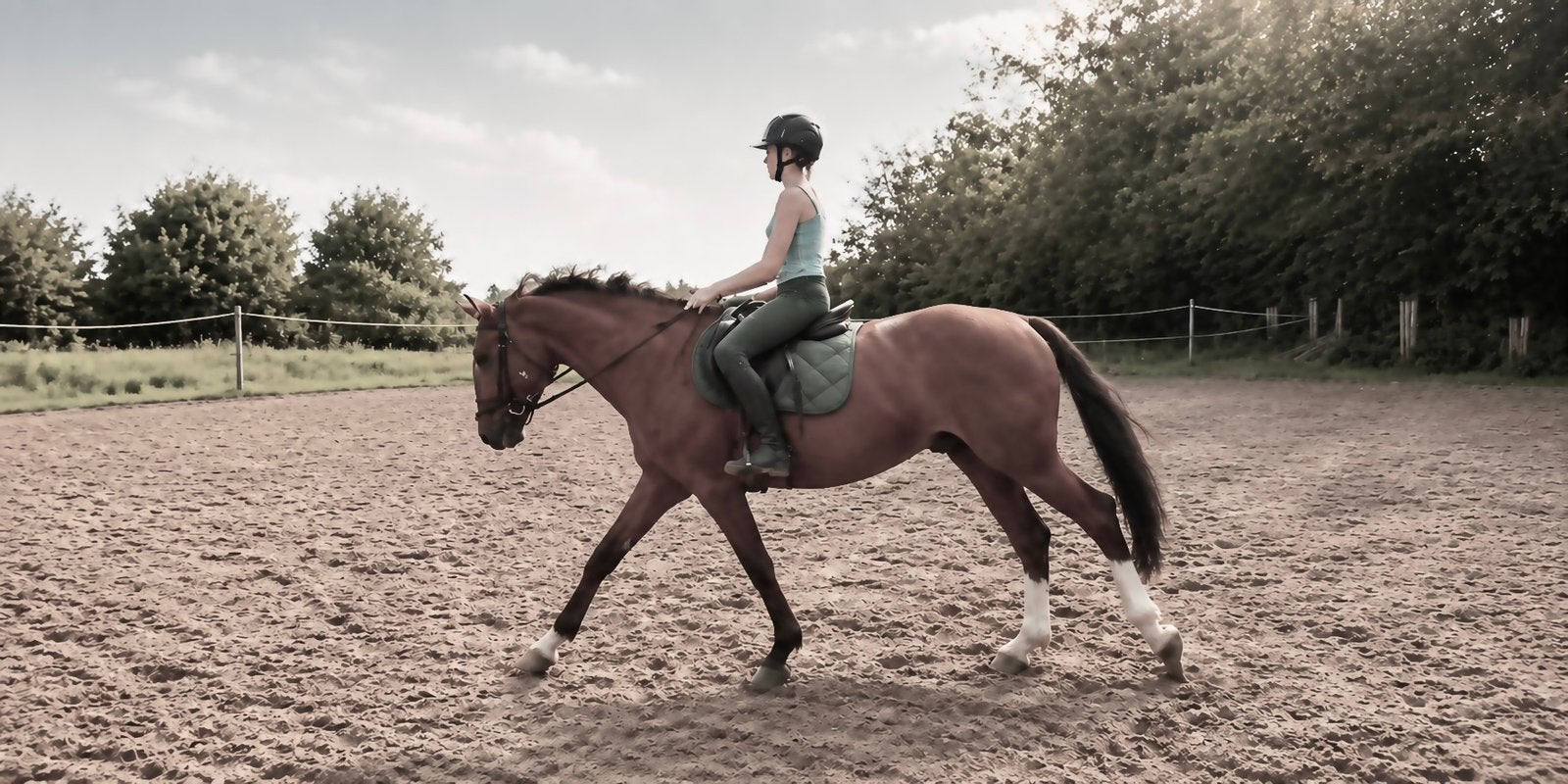 Springpaard gezocht!, Dieren en Toebehoren
