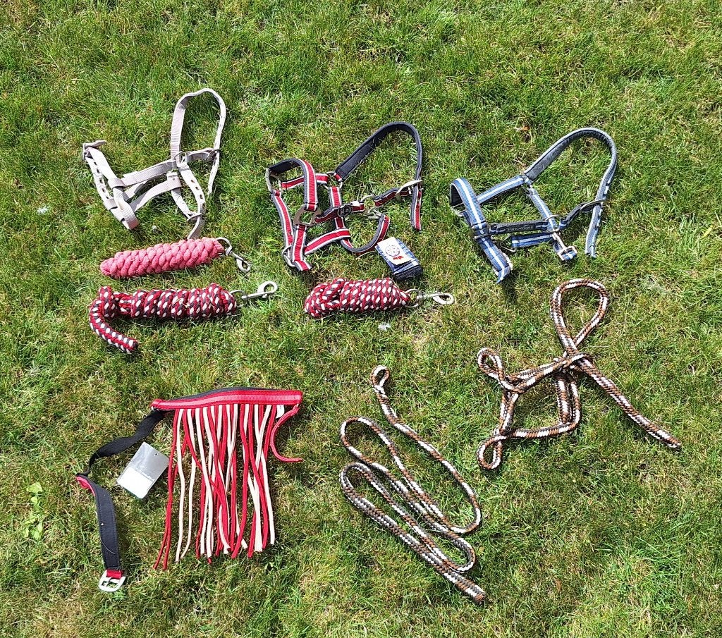 Lot shet halsters en touwen, Animaux & Accessoires, Chevaux & Poneys | Brides & Harnachement, Neuf, Licou, Enlèvement, QHP