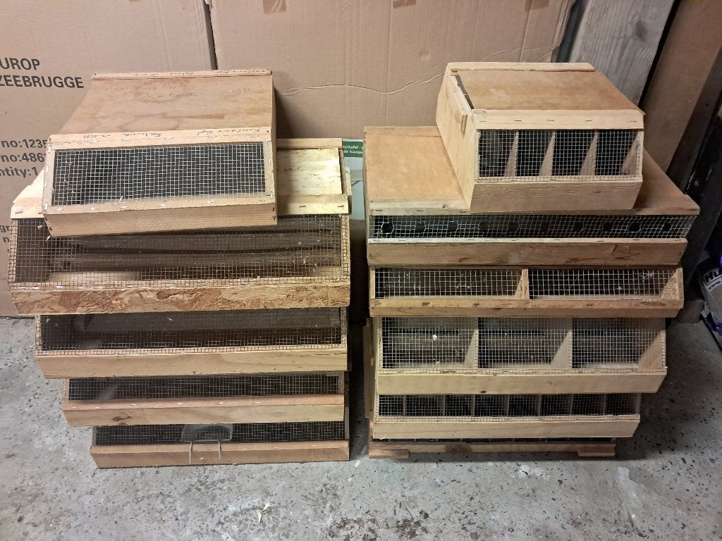Transportkooien voor vogels, Animaux & Accessoires, Enlèvement, Utilisé, Bois, Autres types