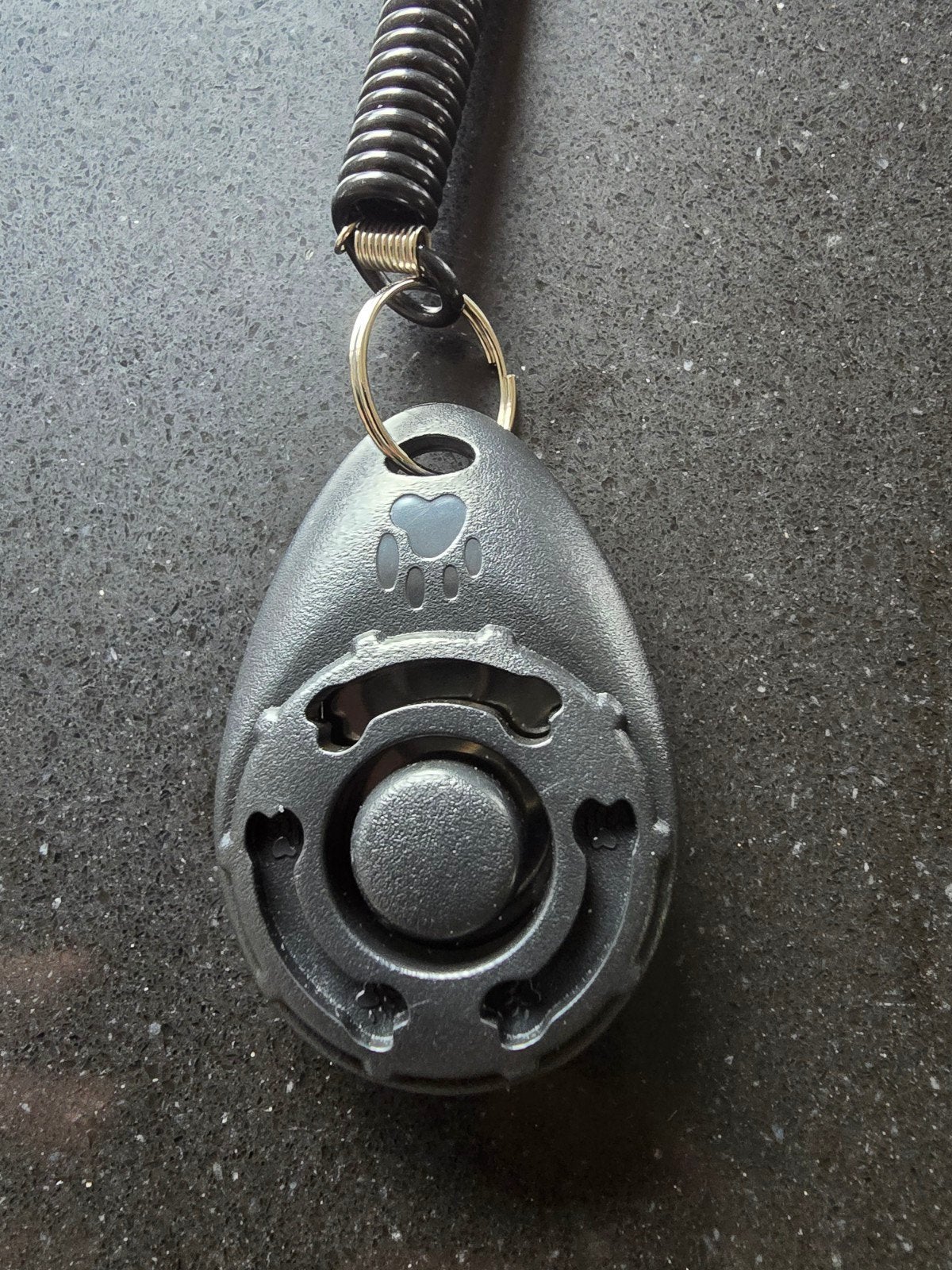 Clicker d'entraînement pratique pour chien avec bracelet ou, Enlèvement ou Envoi, Neuf, Autres types