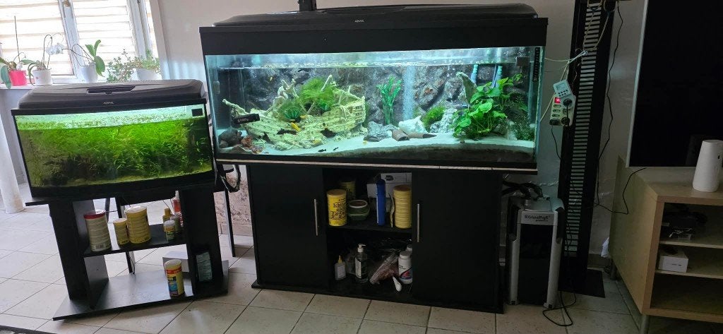 Aquarium, Vissenkom, Overige merken, Ophalen of Verzenden, Zo goed als nieuw