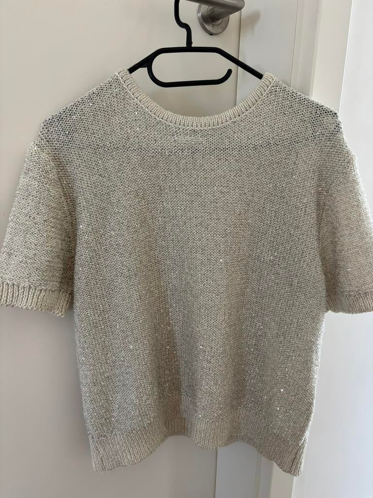 glitter truitje Zara, Kleding | Dames, T-shirts, Ophalen of Verzenden, Zo goed als nieuw