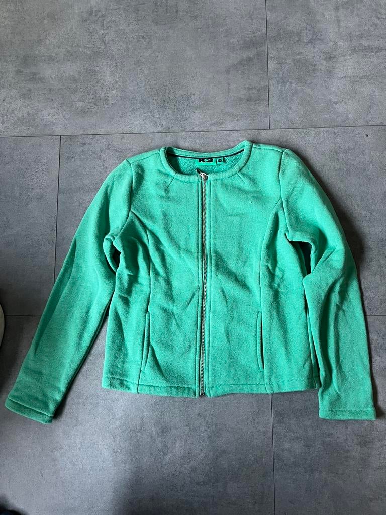 Groen glitter vestje maat 134, Ophalen of Verzenden, Gebruikt, Meisje, Trui of Vest