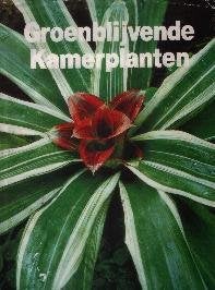 Groenblijvende kamerplanten, Livres, Maison & Jardinage, Enlèvement ou Envoi, Comme neuf, Plantes d'intérieur