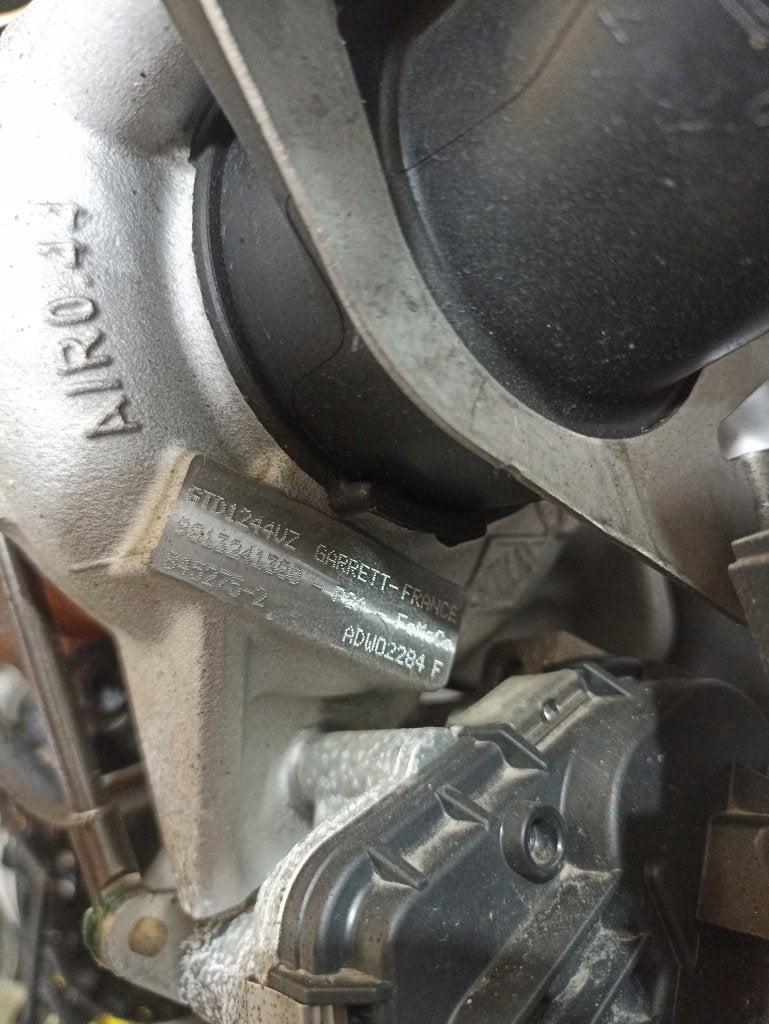 Moteur Y9DA Complet FORD FOCUS, Envoi, Utilisé, Daihatsu