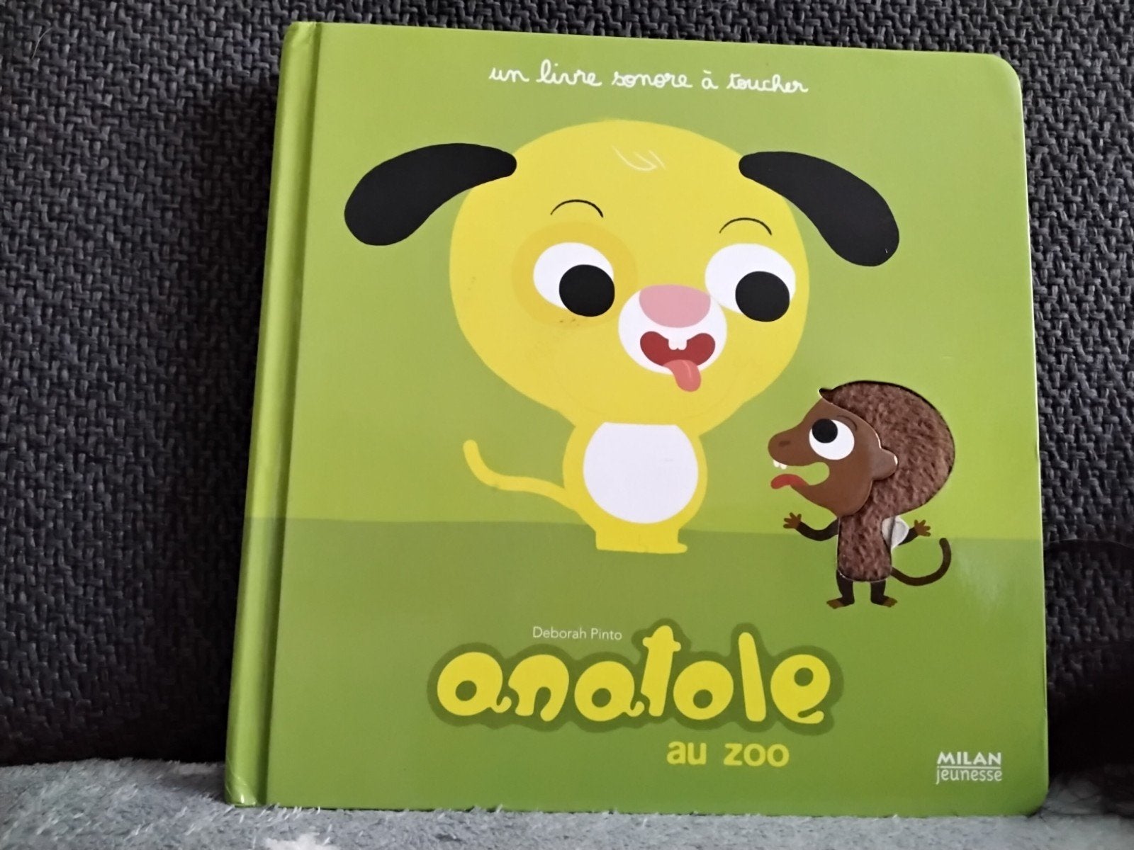 anatole au zoo, Enlèvement