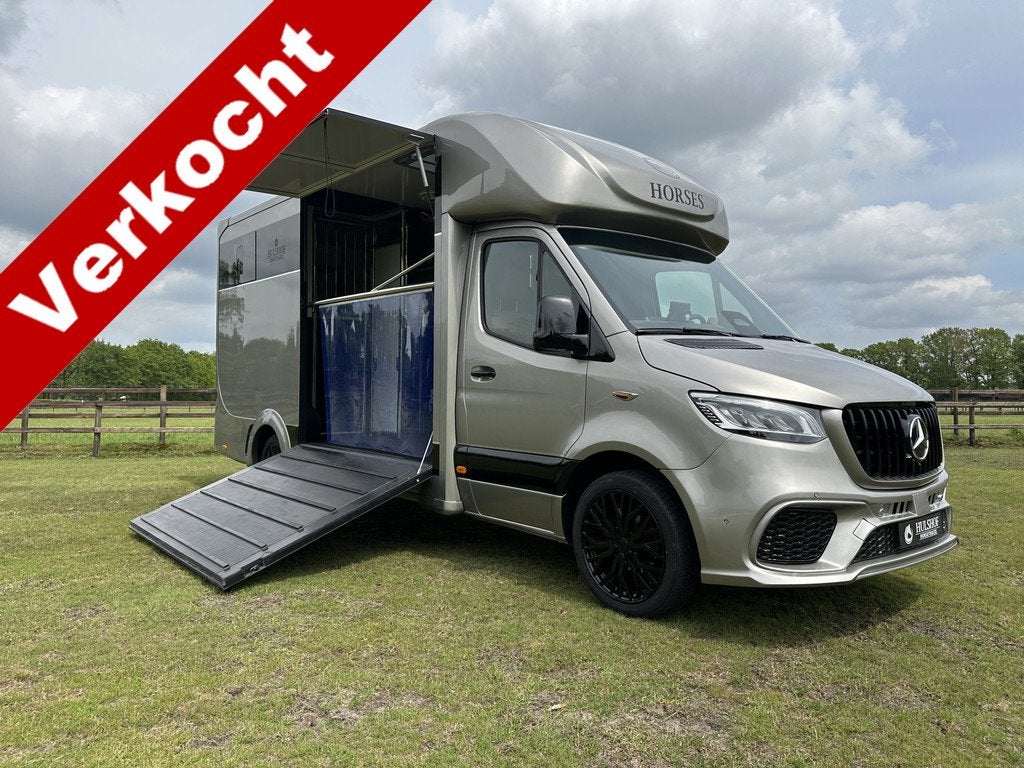 Mercedes-Benz Sprinter 317 AMG XXL 2-paards paardenvrachtwag, Gebruikt, Info@hulshof-trading.nl, Overige typen, Hulshof-Trading