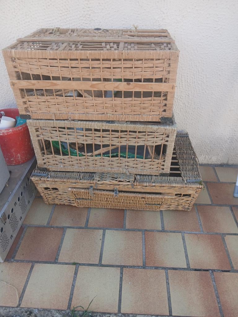 Lot pour pigeons ou autre, Enlèvement