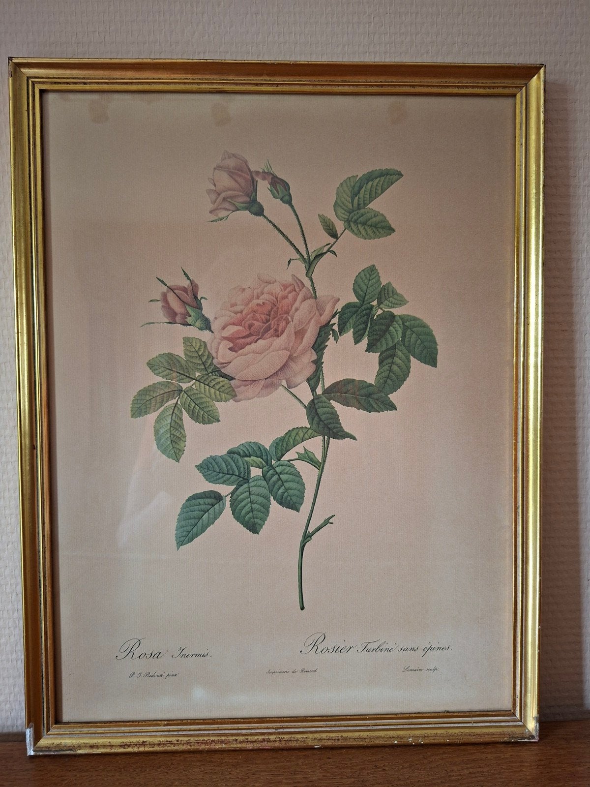 Lot de 4 tableaux "roses de Redouté", Maison & Meubles, Accessoires pour la Maison | Peintures, Dessins & Photos, Enlèvement
