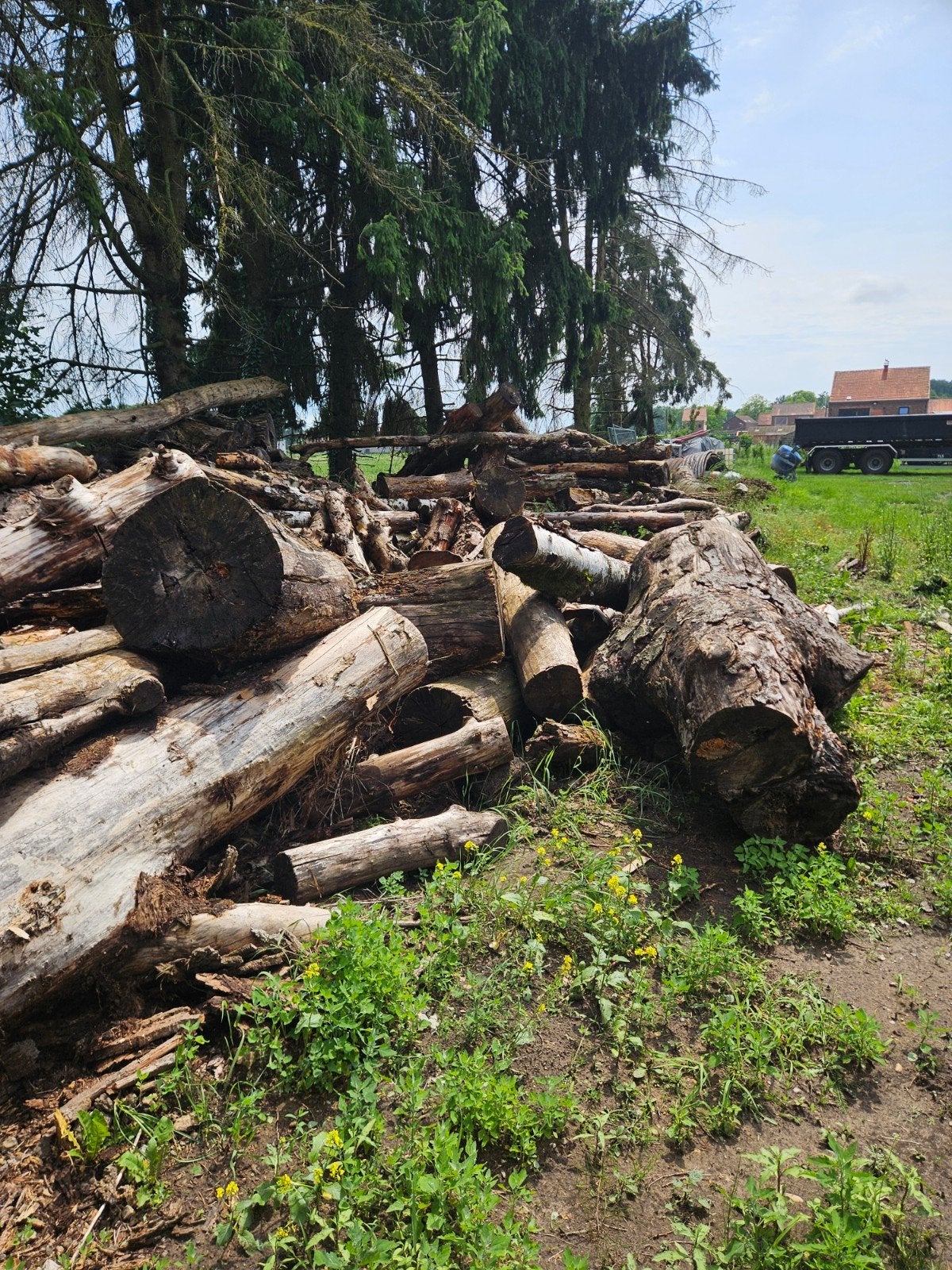 Hout gratis kan geladen worden, Tuin en Terras, Brandhout, Ophalen