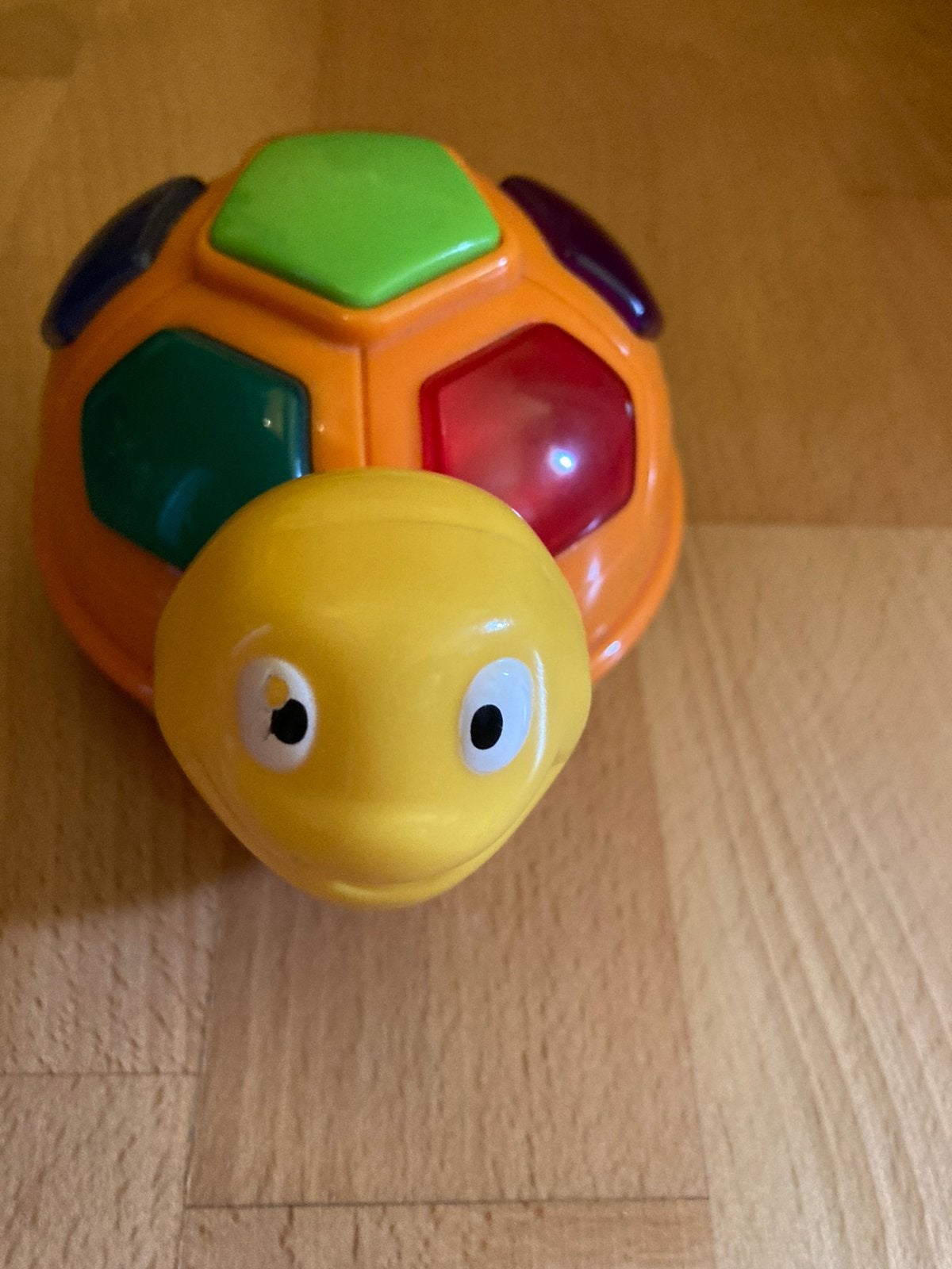 Tortue d'activité, Enlèvement, Comme neuf, Autres types, Avec lumière