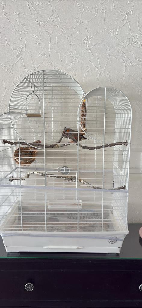 Vogelkooi, Ophalen, Zo goed als nieuw, Vogelkooi