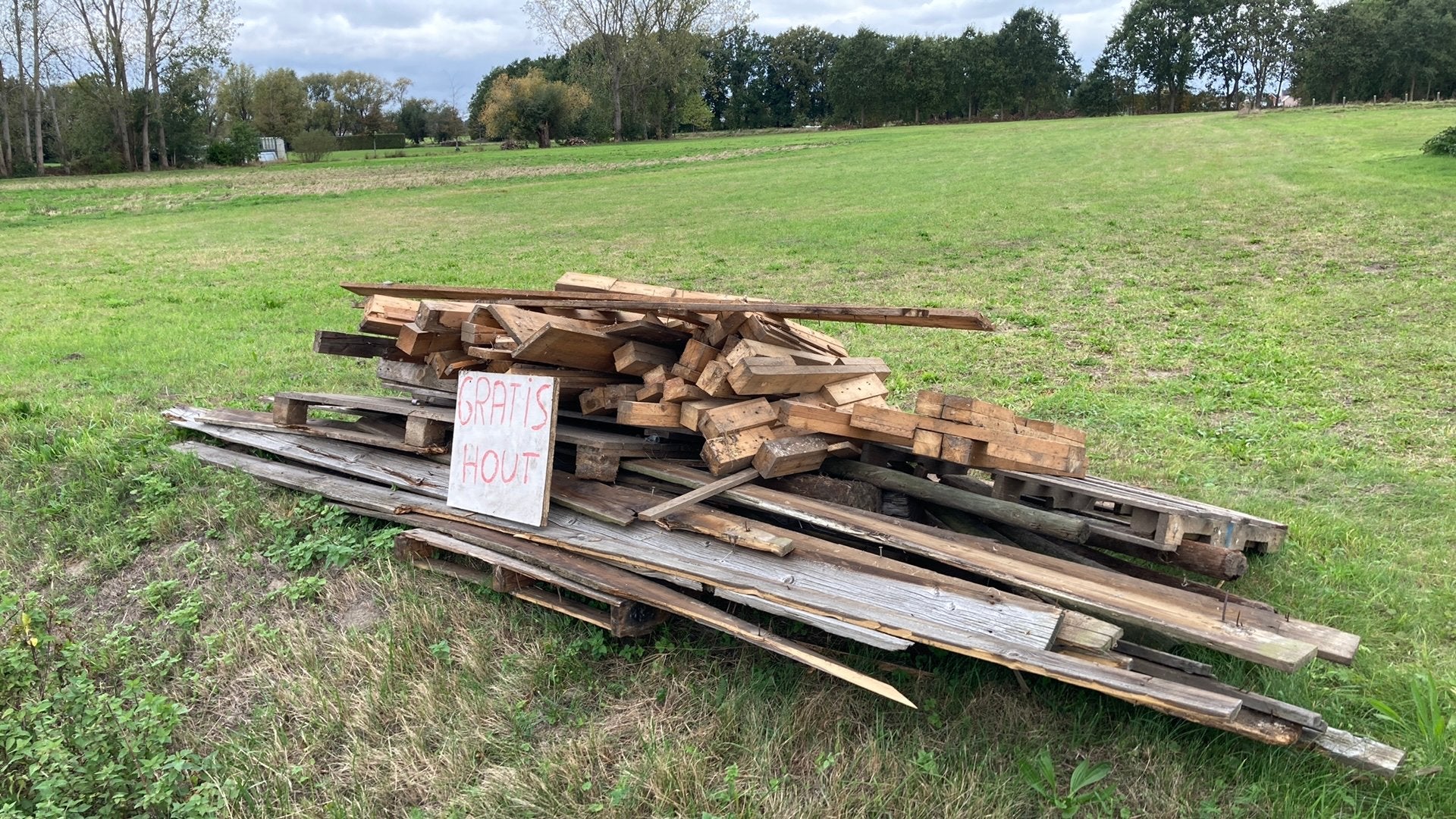 GRATIS HOUT !!!, Tuin en Terras, Ophalen