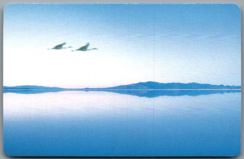 speelkaart - LK15637 - Cathay Pacific airways CPX-127-B, Enlèvement ou Envoi, Comme neuf, Carte(s) à jouer