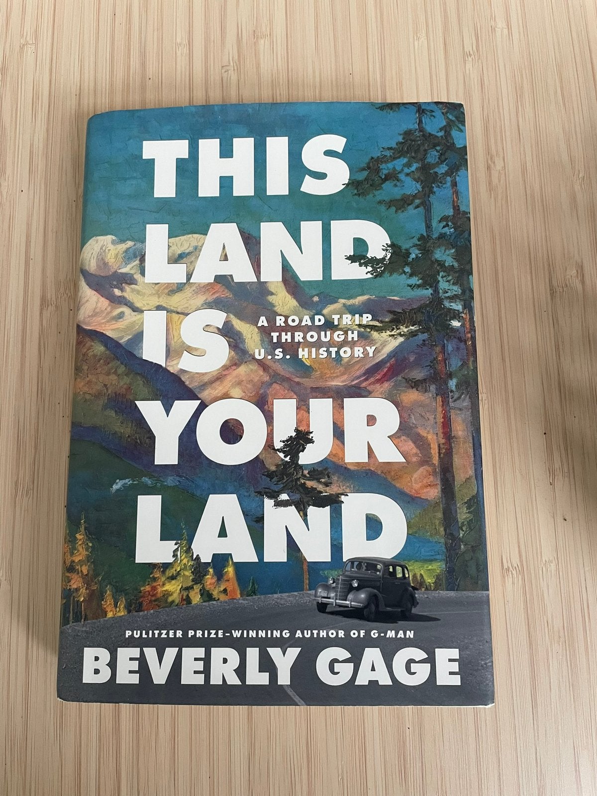 This land is your land I Boek over USA geschiedenis, Ophalen of Verzenden, Zo goed als nieuw, Maatschappij en Samenleving