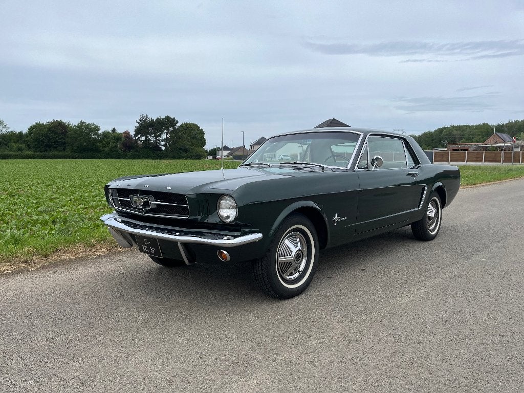 Mustang, Achat, Particulier, Mustang
