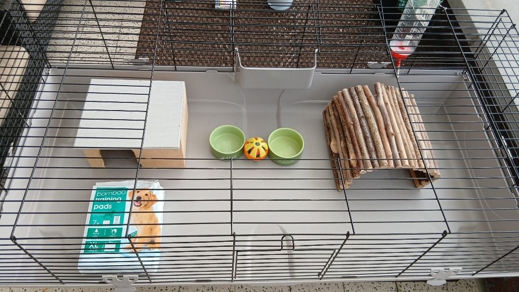 Kooi voor cavia's of dwerkonijntjes, Moins de 60 cm, Cage, Comme neuf, Cobaye