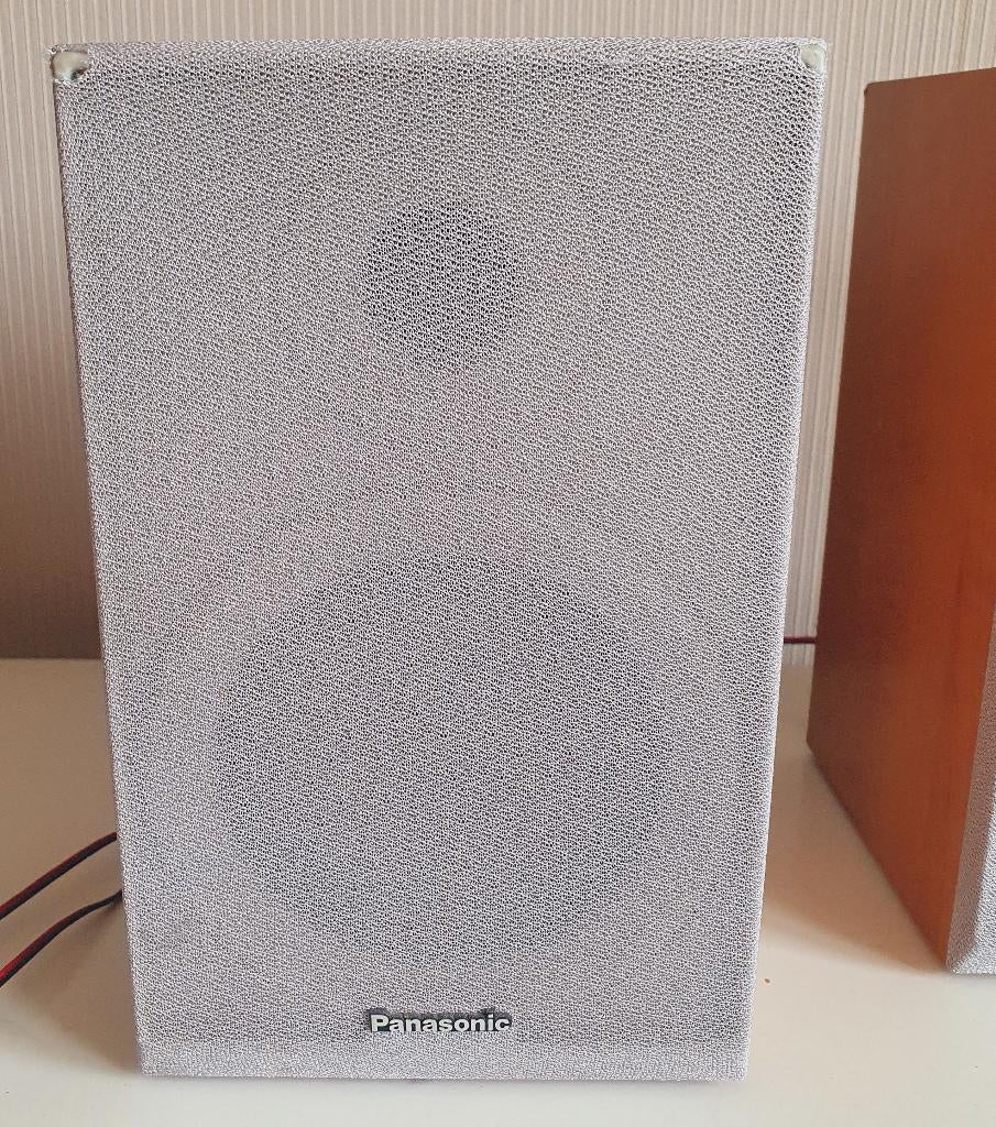 Panasonic luidsprekers (2), Gebruikt, Overige typen, Minder dan 60 watt, Ophalen
