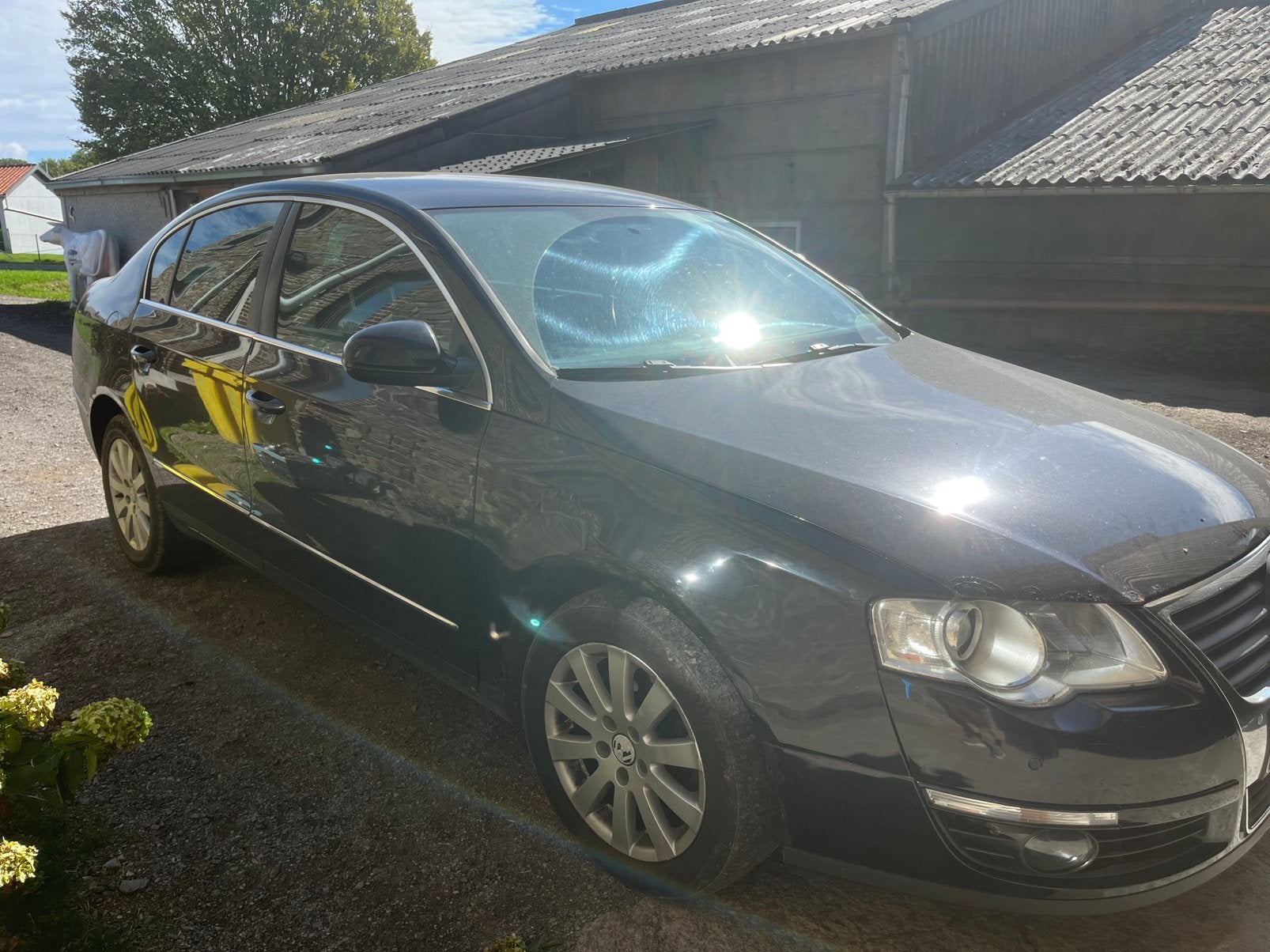 Volkswagen passat, Autos, Entreprise, Achat, Passat