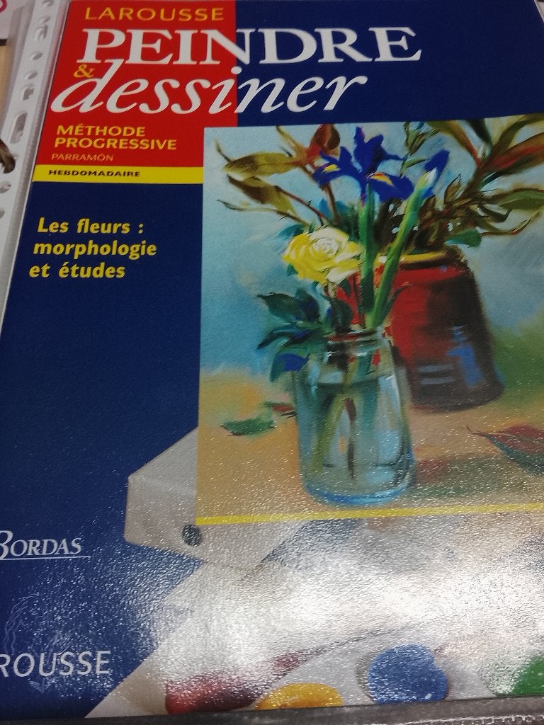 Peindre &dessiner Larousse, Hobby en Vrije tijd, Schilderen, Ophalen of Verzenden, Zo goed als nieuw, Overige typen