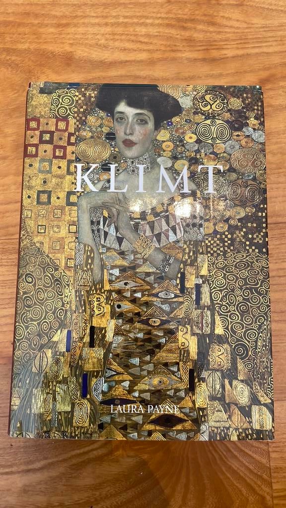 Klimt, Ophalen of Verzenden, Zo goed als nieuw, Schilder- en Tekenkunst