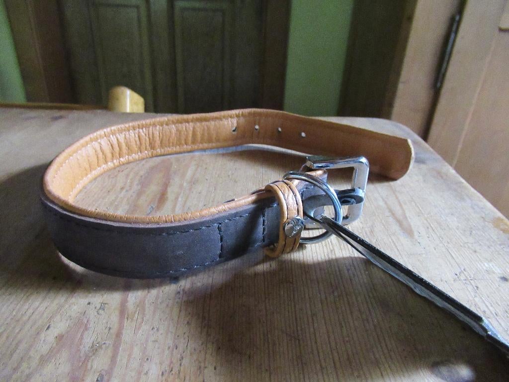 Kwaliteitsvolle lederen halsband middelgrote hond, Dieren en Toebehoren, Ophalen of Verzenden, Nieuw